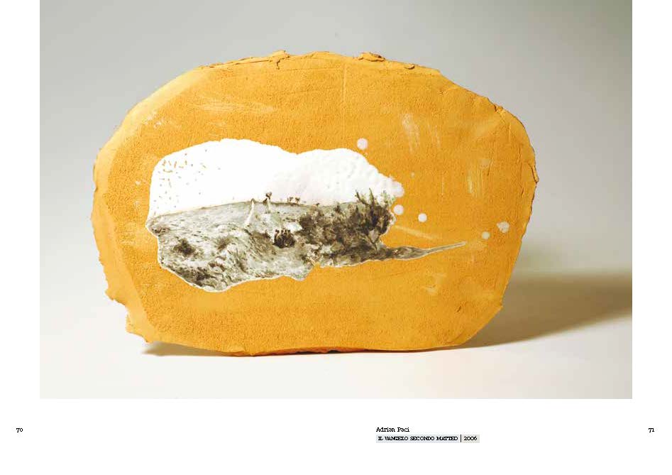 Terra provocata