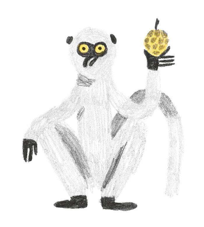 Sulla vita dei lemuri