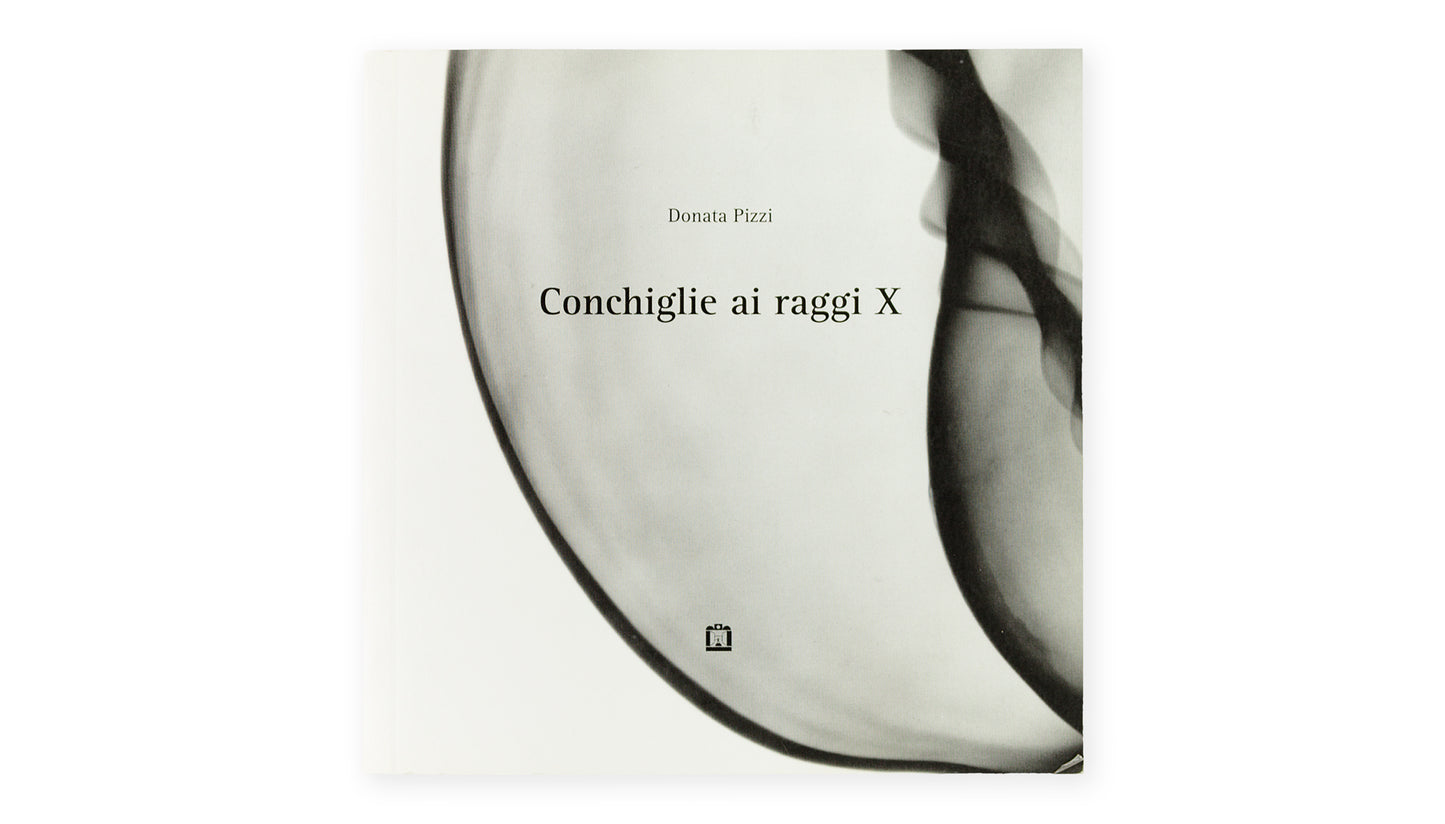Conchiglie ai raggi X