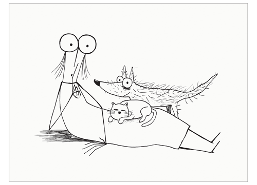 Cane e gatto 2