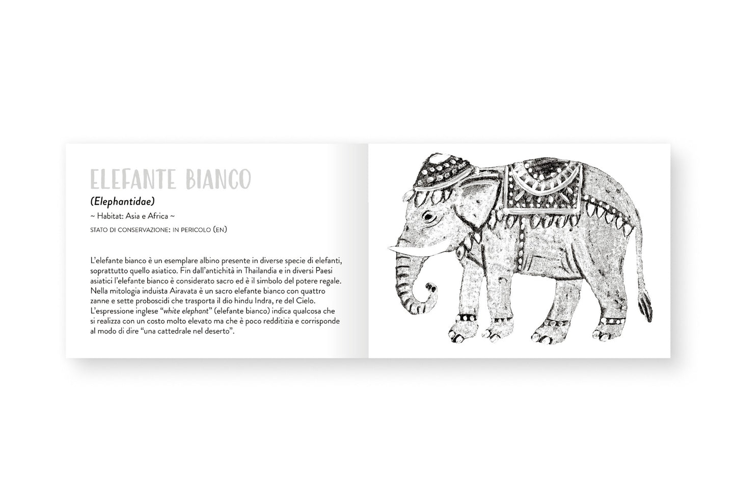 Il piccolo libro degli animali bianchi