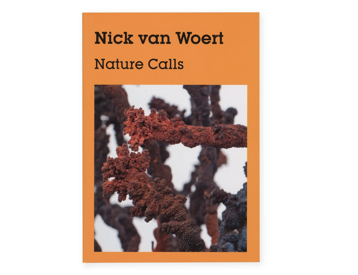 Nick van Woert