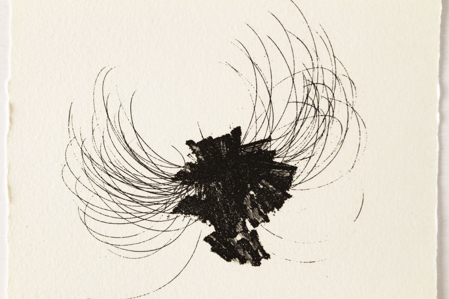 Prima del disegno E