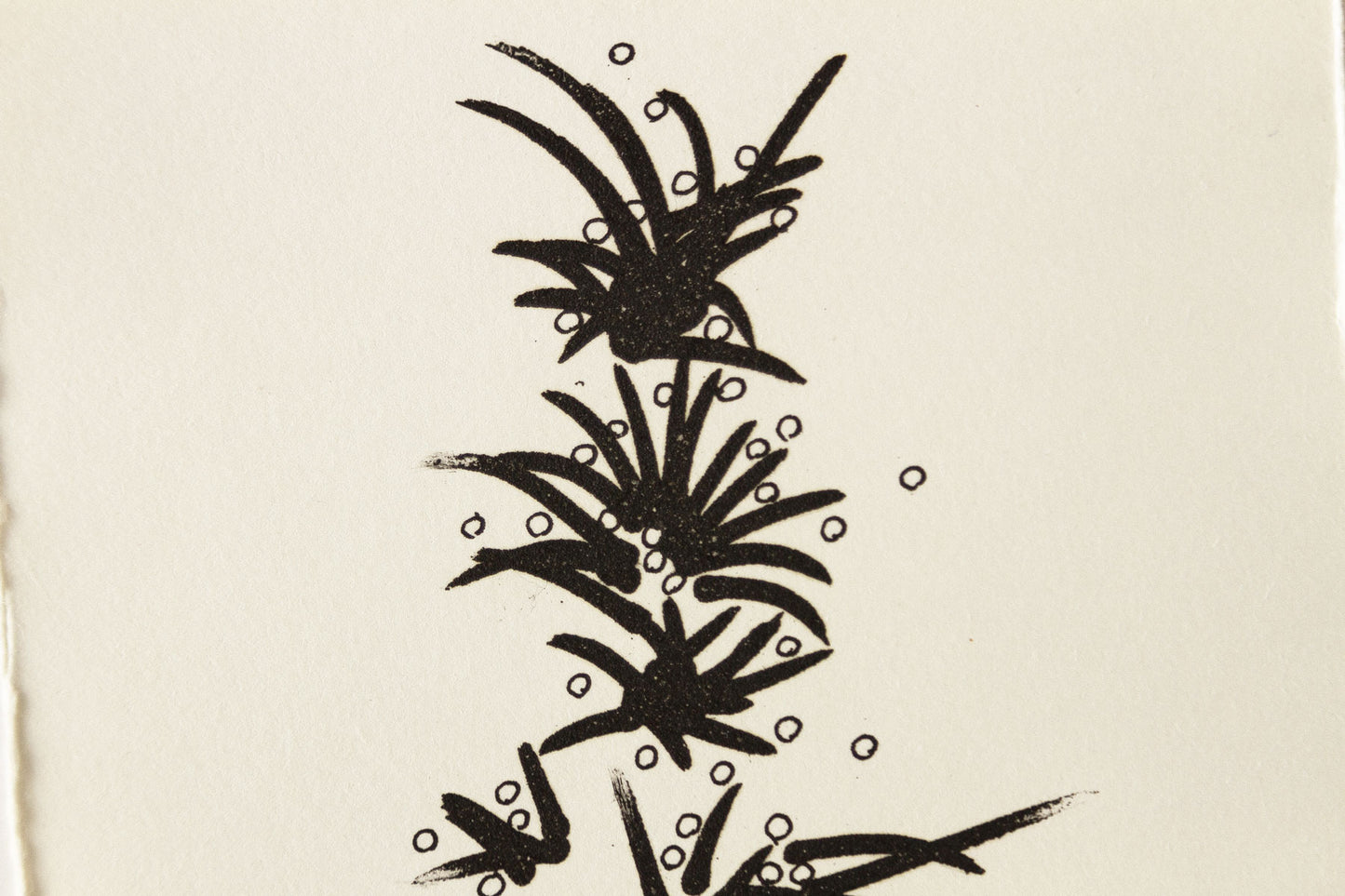 Prima del disegno D
