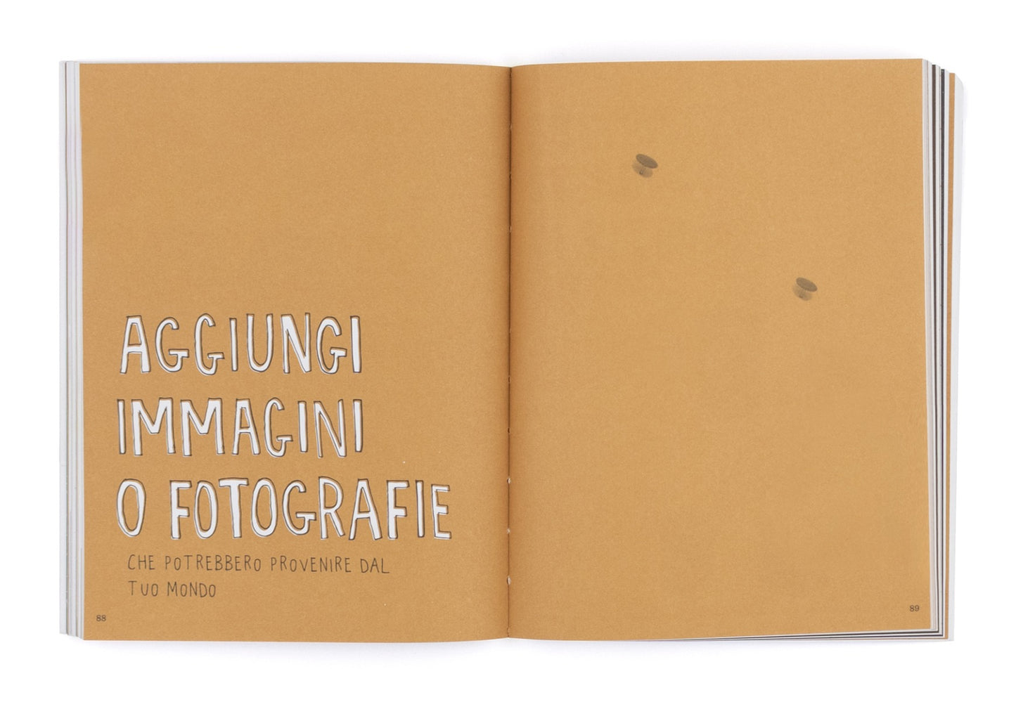 Il mondo immaginario di...