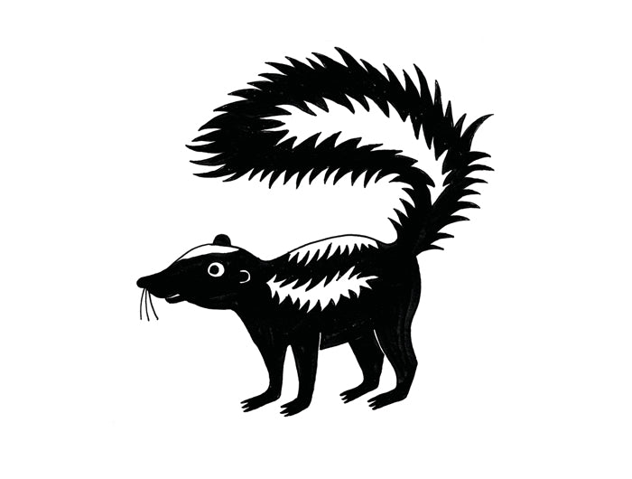 Il piccolo libro degli animali bianchi e neri