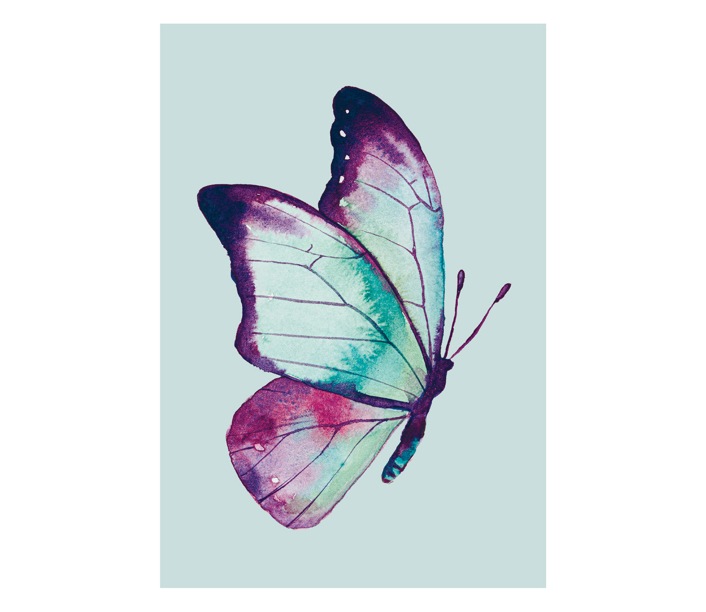Metamorfi pop