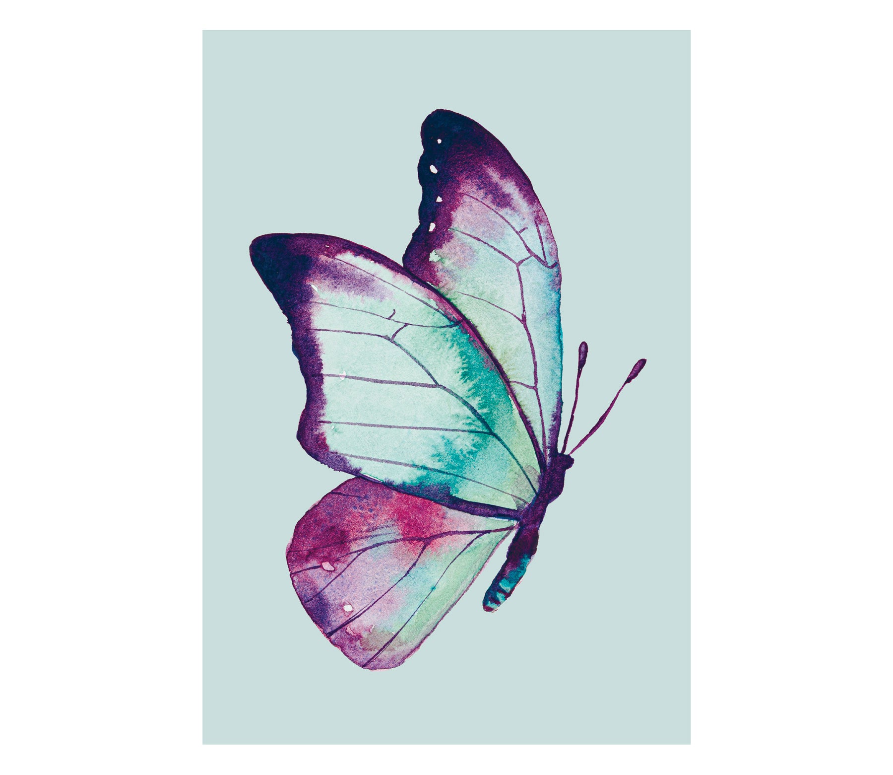Metamorfi pop