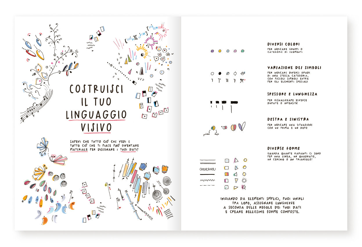 Osserva, raccogli, disegna!