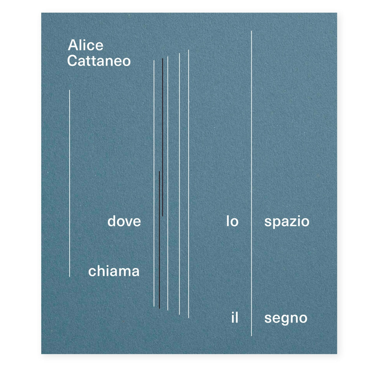Alice Cattaneo. Dove lo spazio chiama il segno