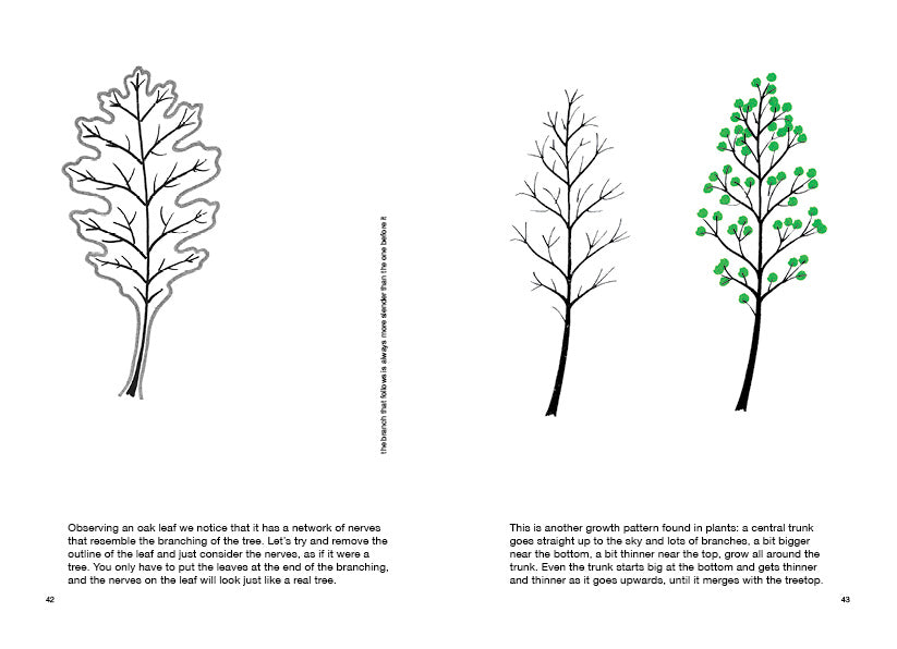 Drawing a tree