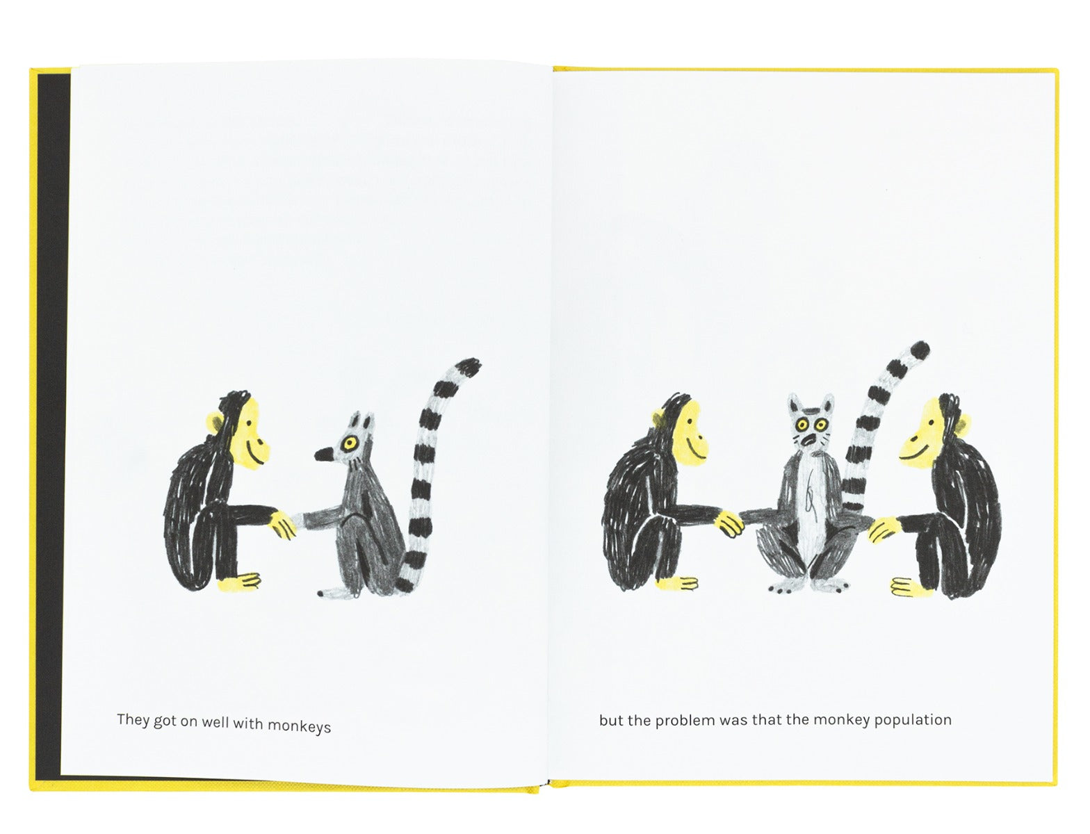 On the lives of lemurs