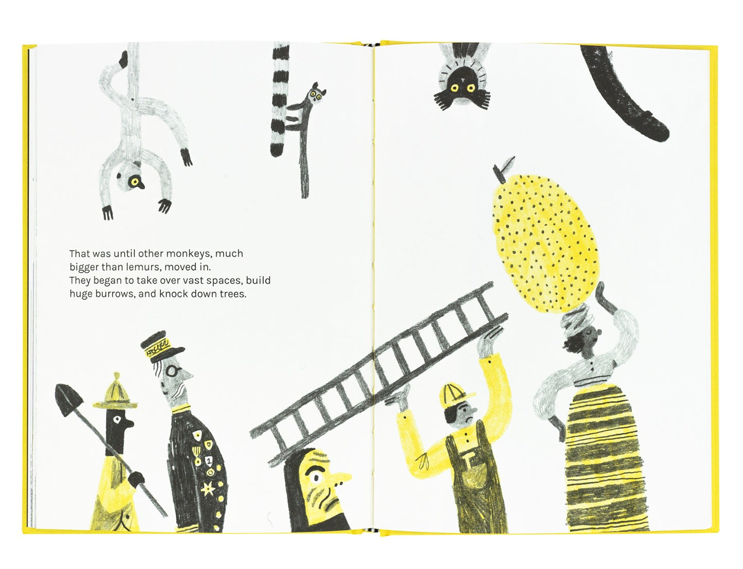 On the lives of lemurs