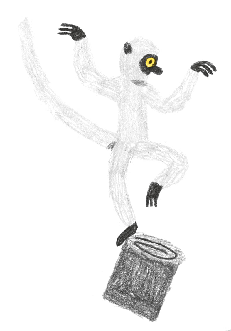 On the lives of lemurs