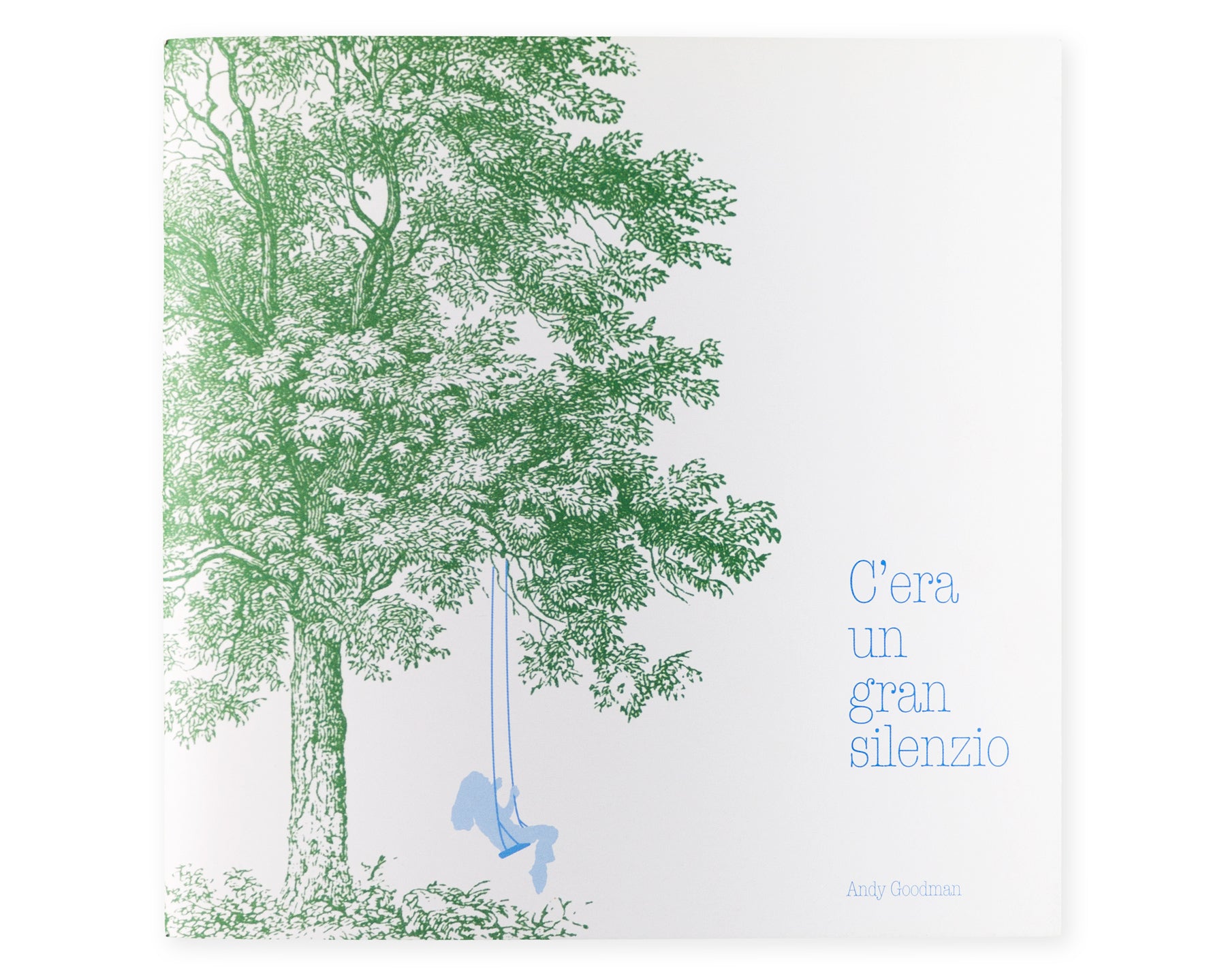 C'era un gran silenzio