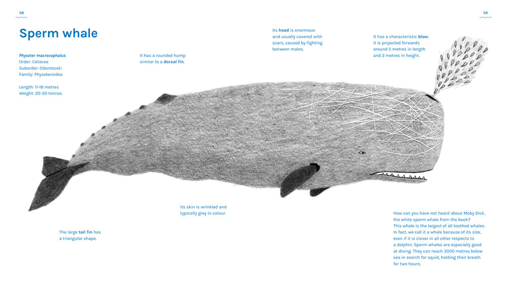 A book about whales