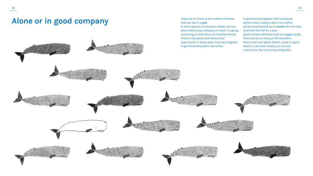 A book about whales