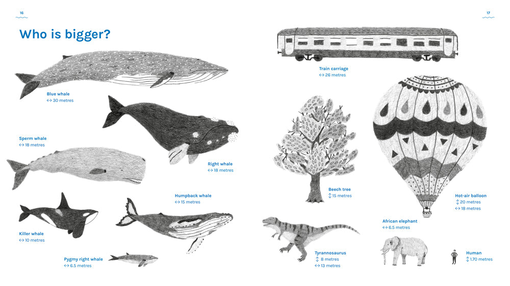 A book about whales