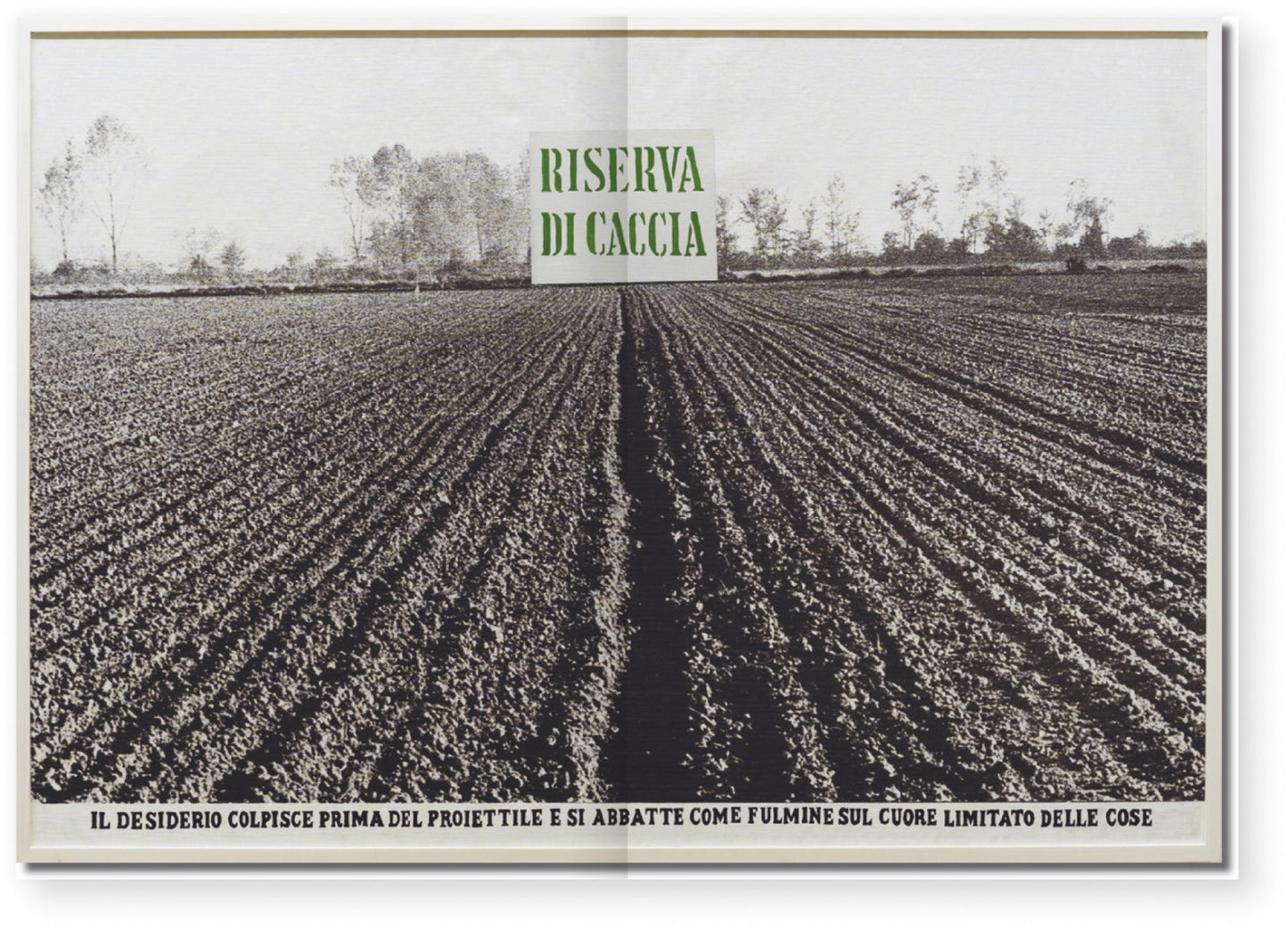 Archivio 05