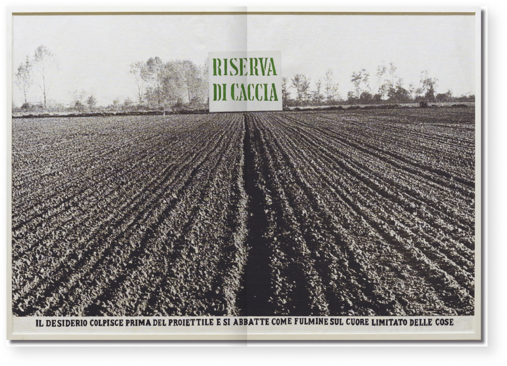 Archivio 05