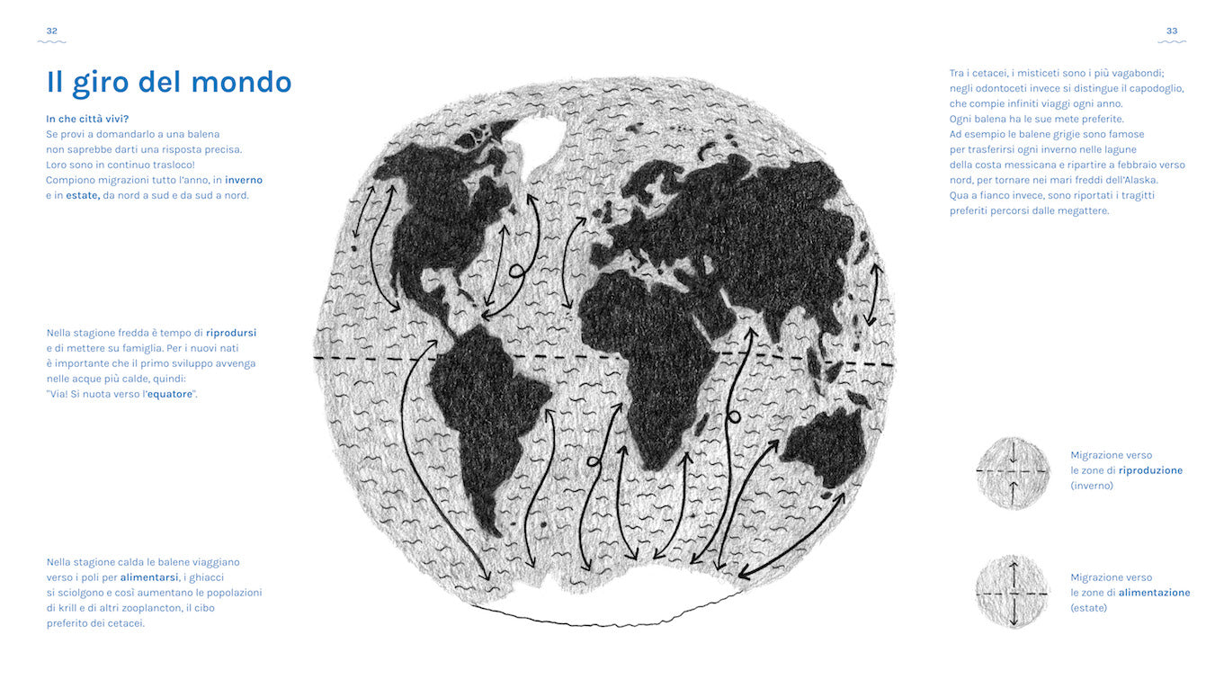 Un libro sulle balene