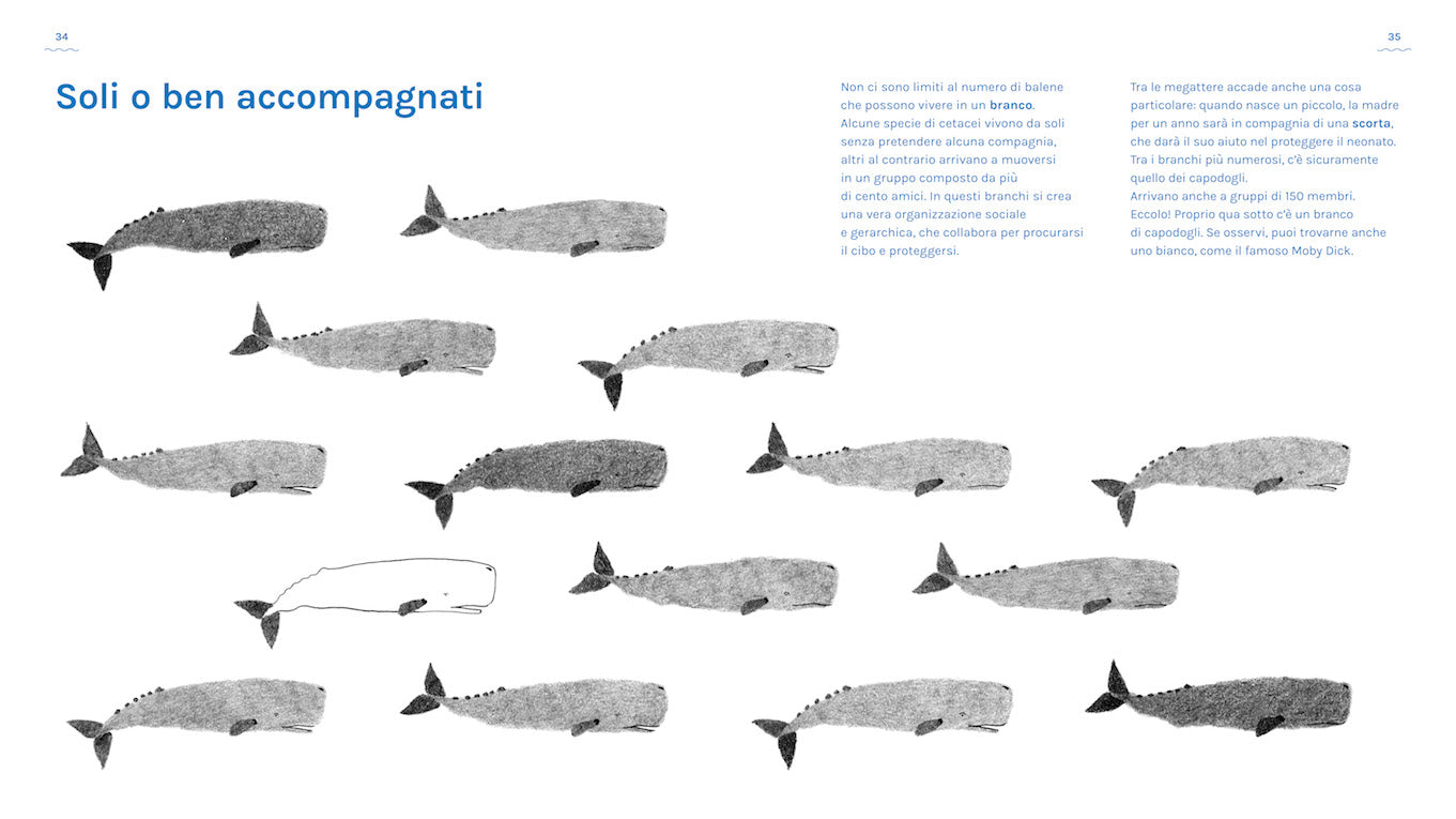 Un libro sulle balene