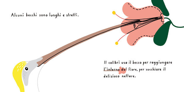 Il libro dei becchi