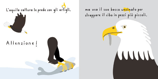 Il libro dei becchi