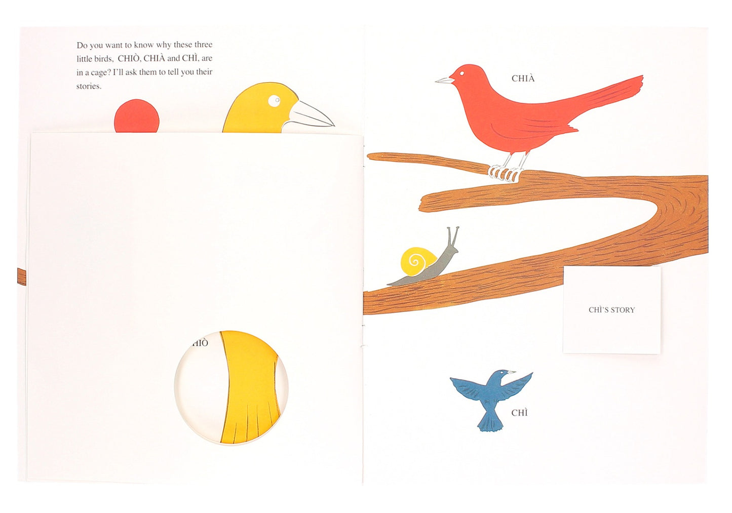 A tale of three little birds