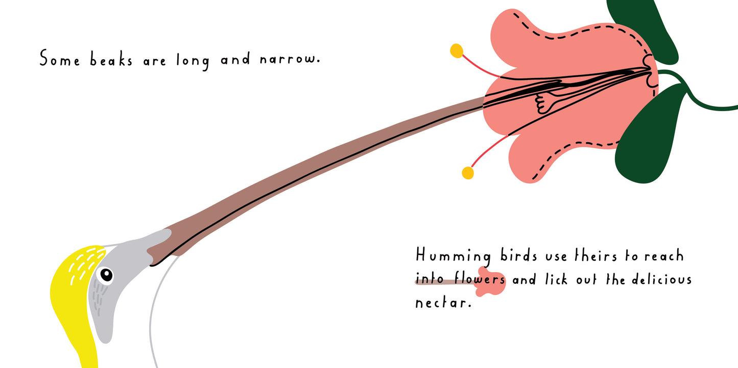 Bird Beak Book