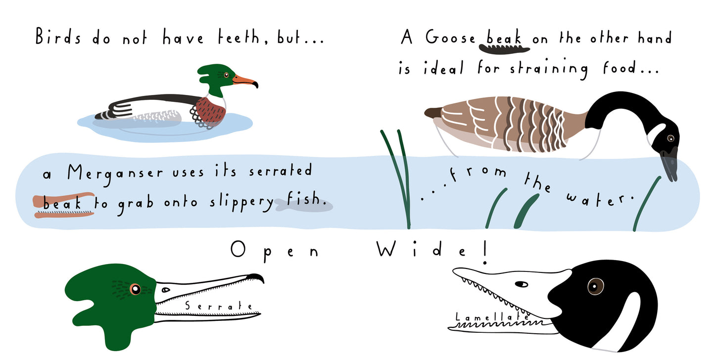 Bird Beak Book