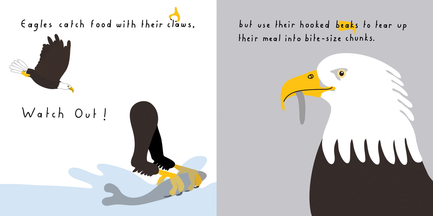 Bird Beak Book
