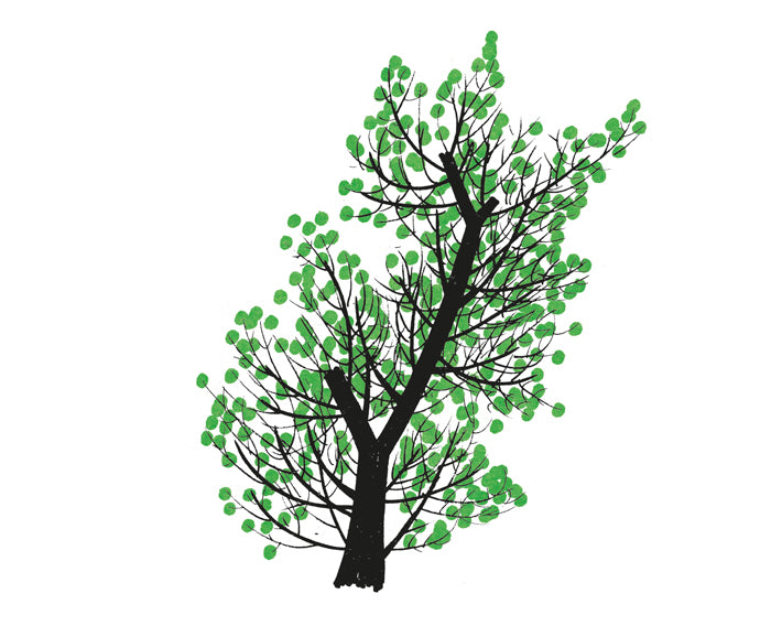 Drawing a tree