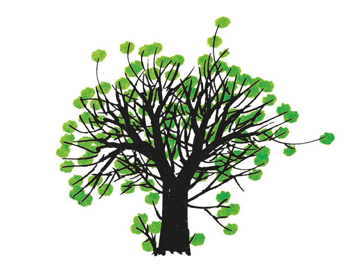 Disegnare un albero