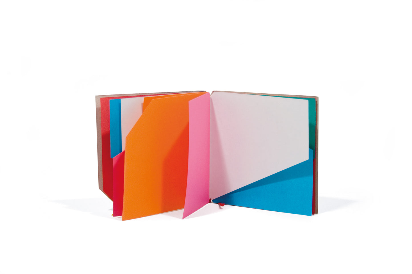 Libro illeggibile MN 1