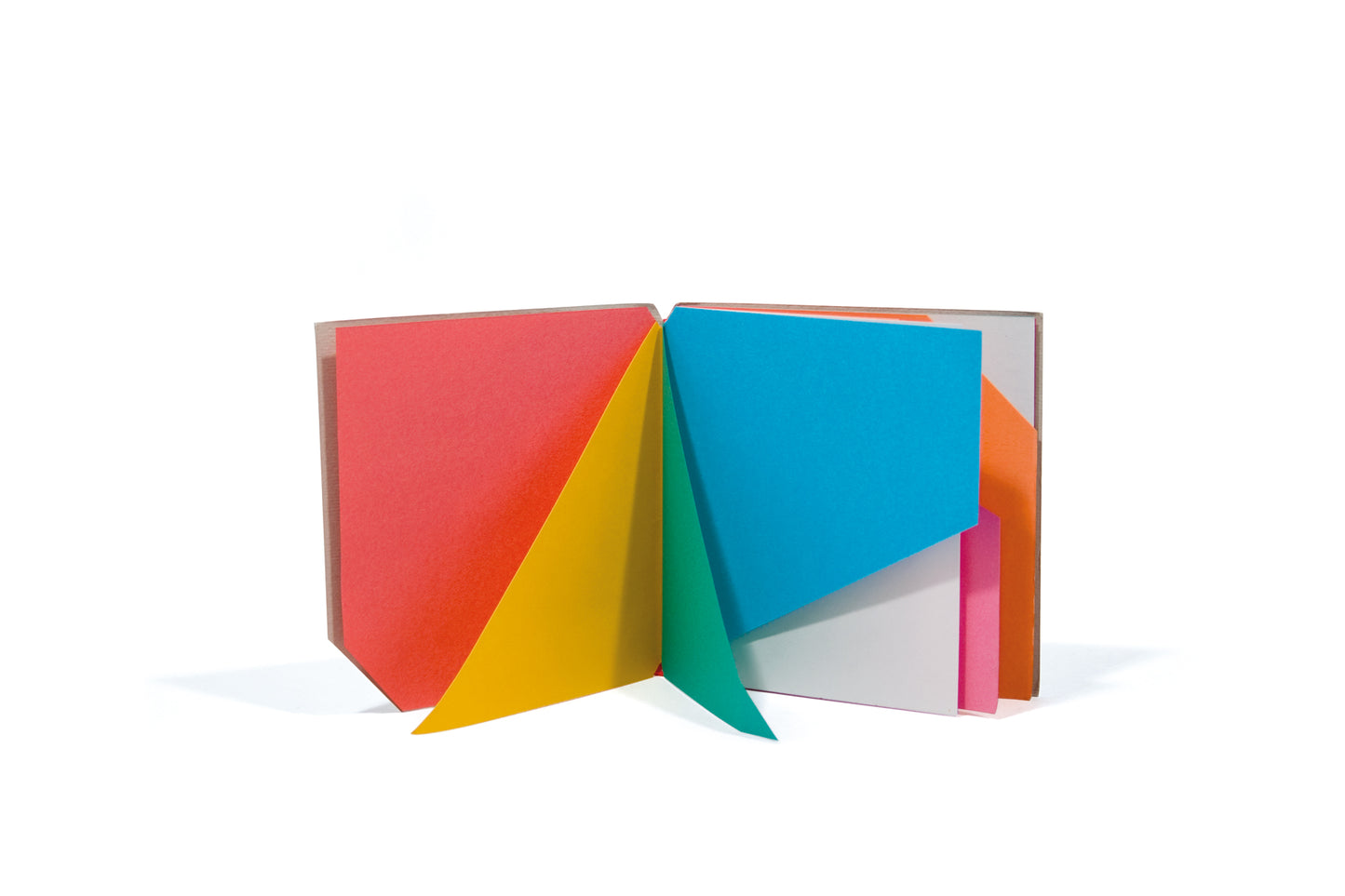Libro illeggibile MN 1