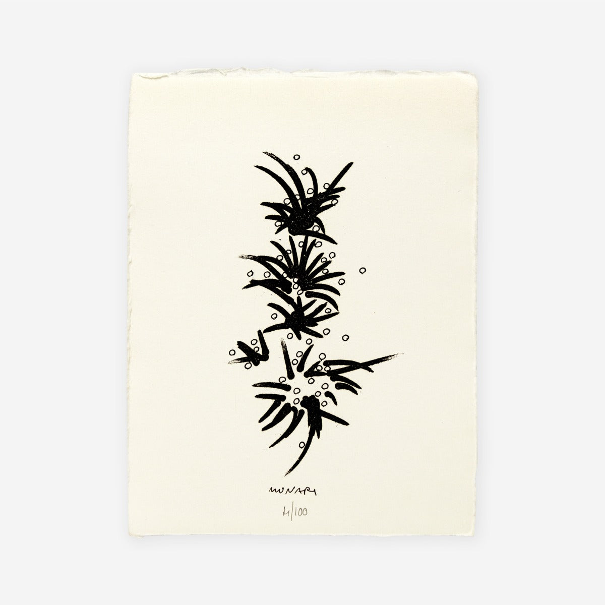 Prima del disegno D