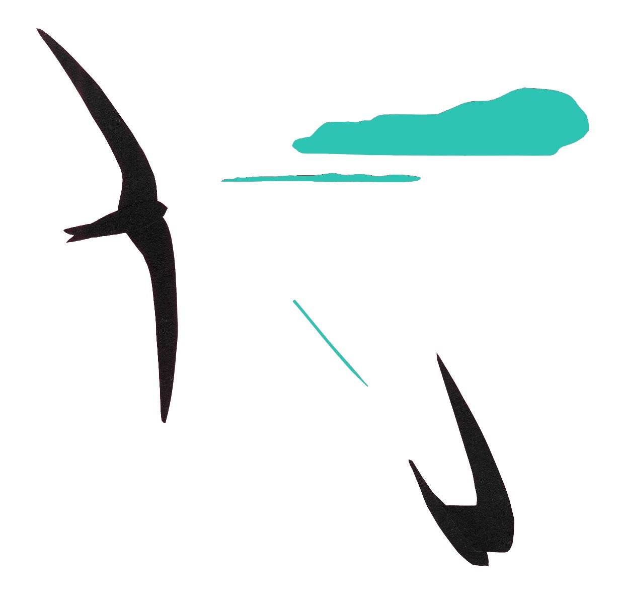 The Swift