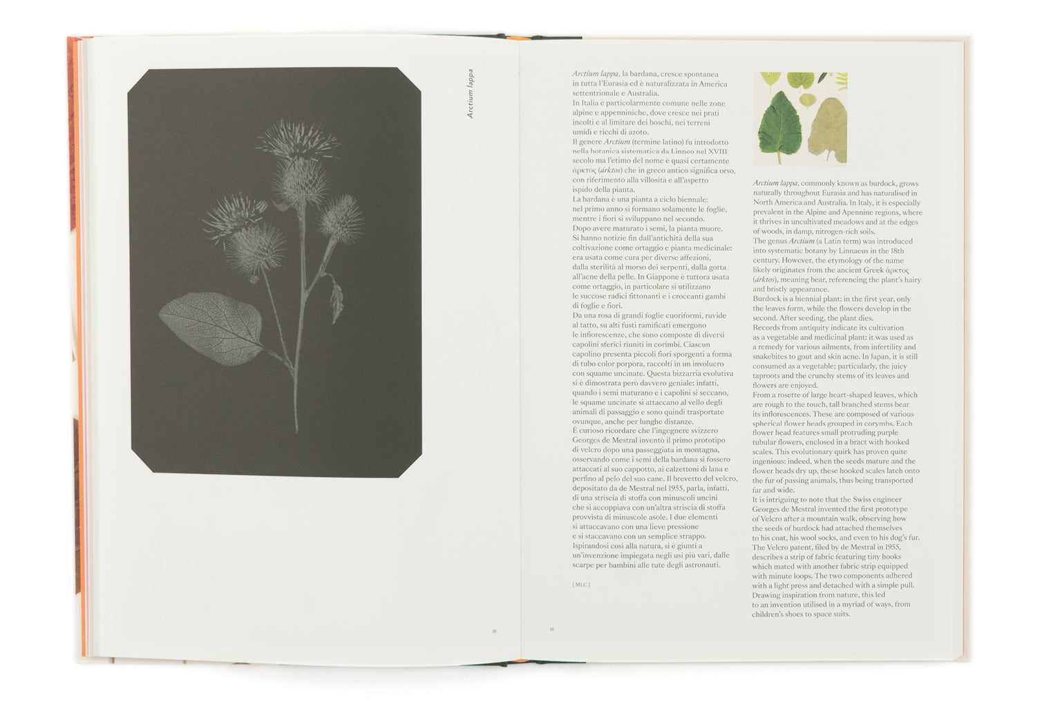 Chromatic Herbarium