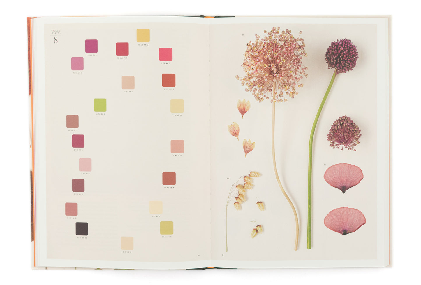 Chromatic Herbarium