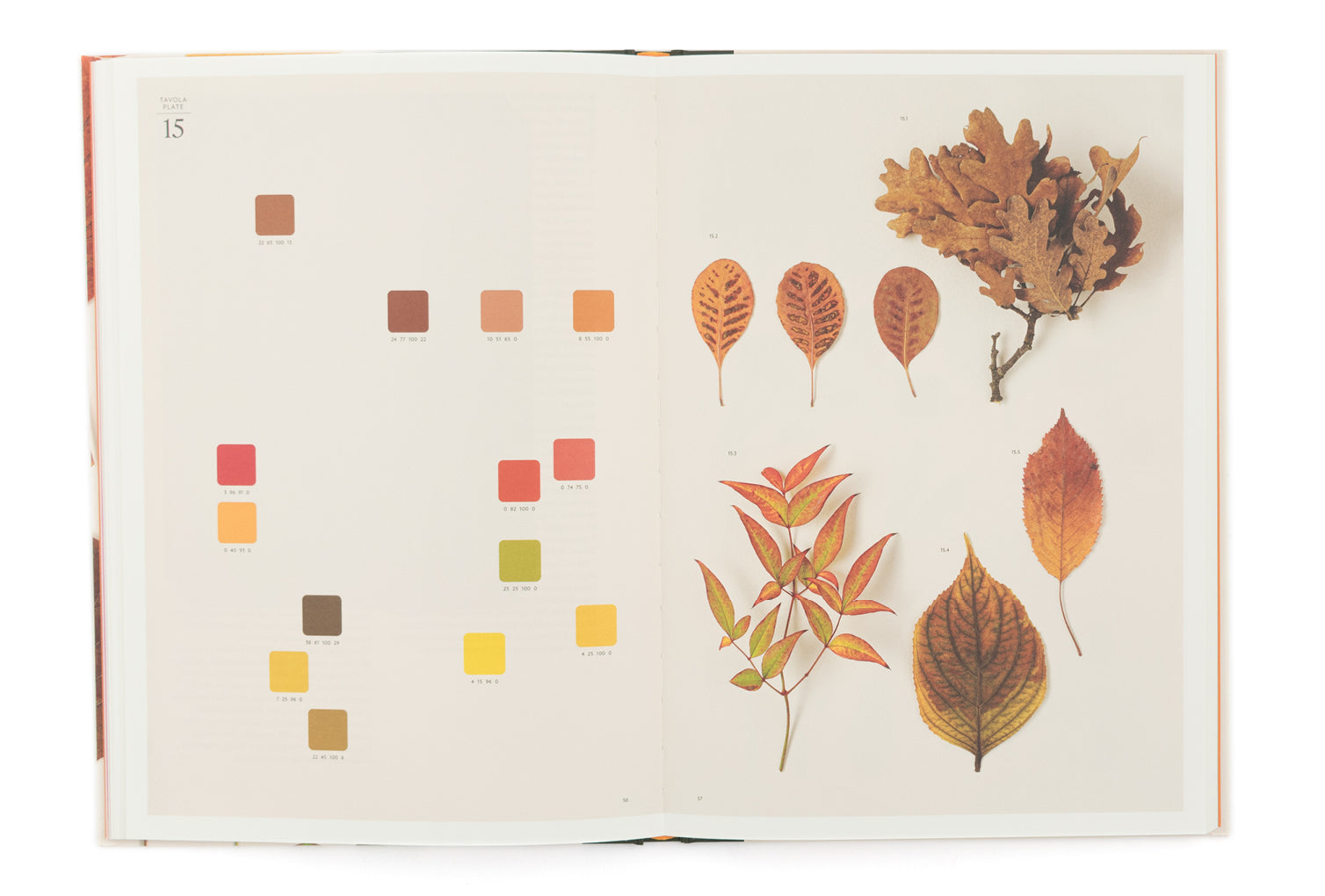 Chromatic Herbarium