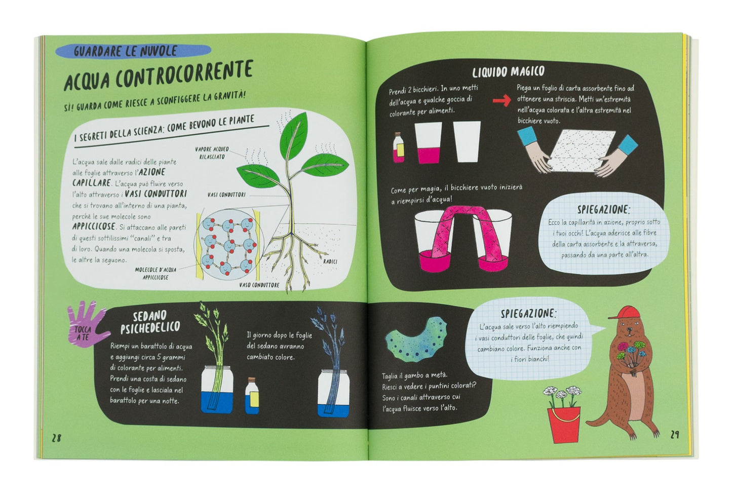 Il libro su clima e tempo per bambine e bambini curiosi