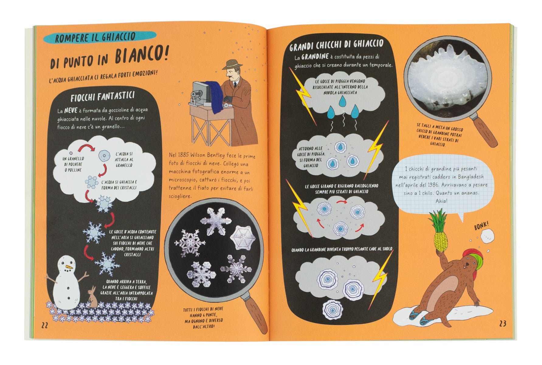 Il libro su clima e tempo per bambine e bambini curiosi