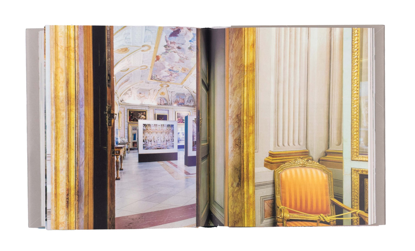 Committenze Contemporanee alla Galleria Borghese