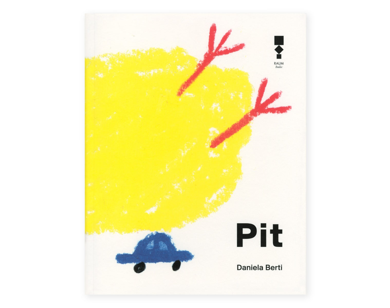 Pit