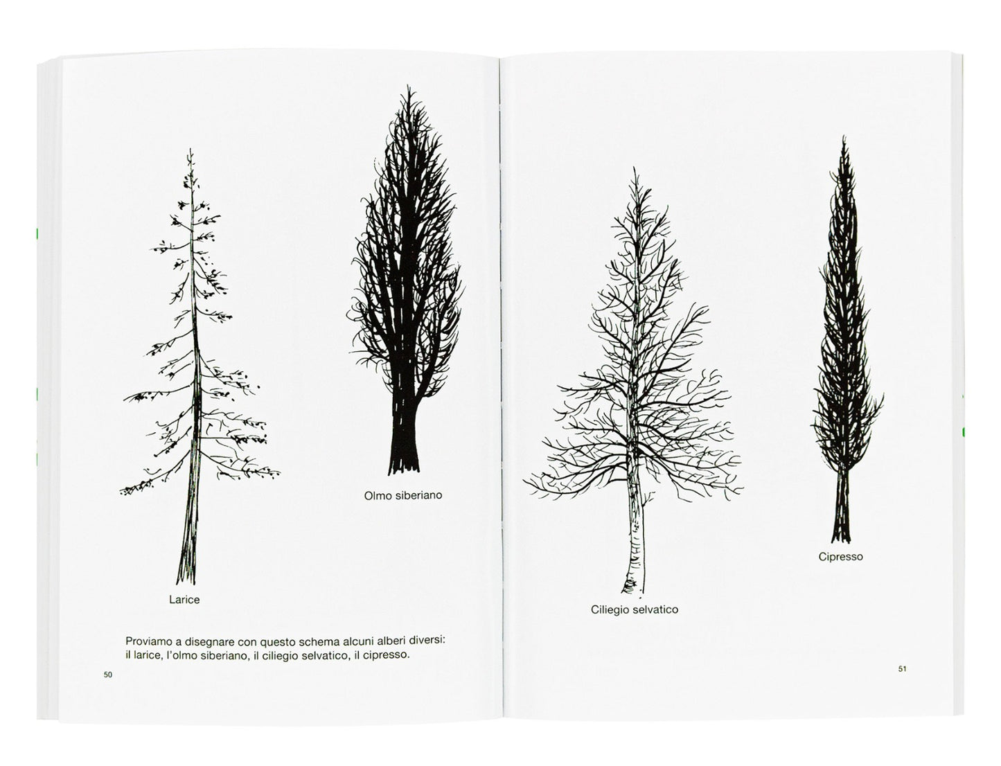 Disegnare un albero
