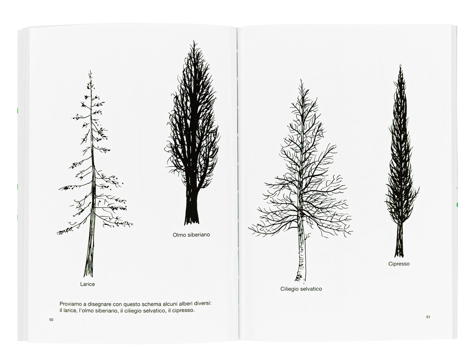 Disegnare un albero