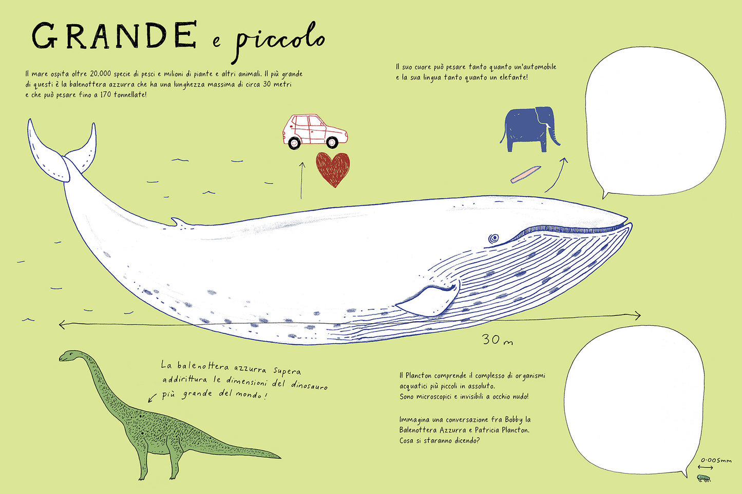 Disegnare in fondo al mare