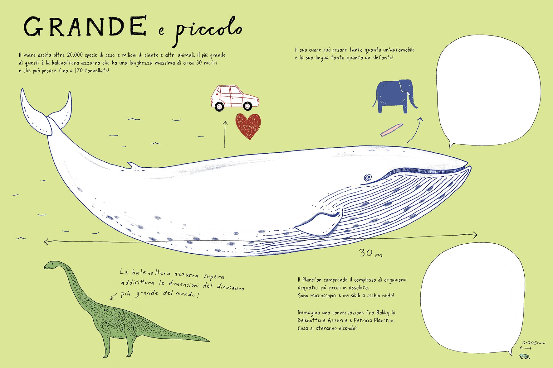 Disegnare in fondo al mare