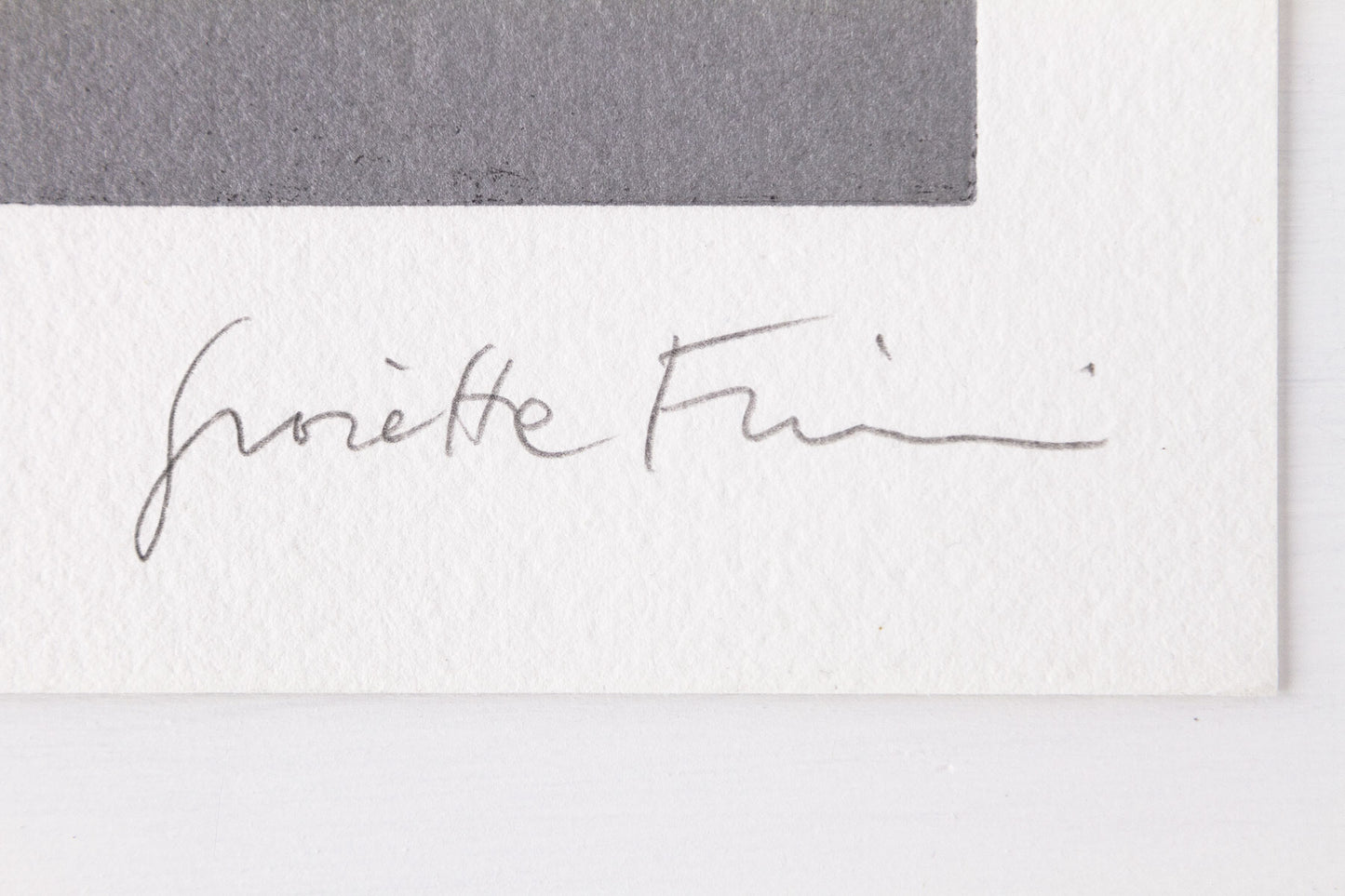 Fisionomie B